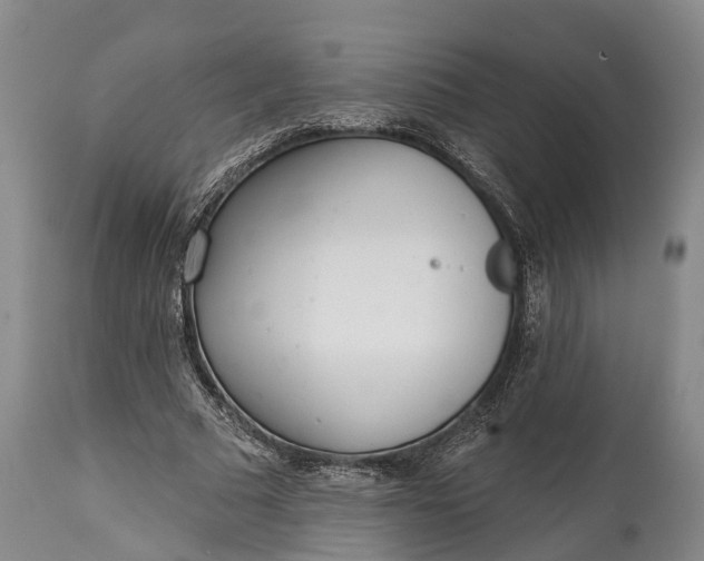 X0000115010681200911091421