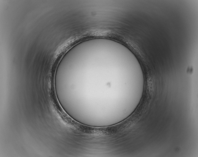 X0000115010682200911091421
