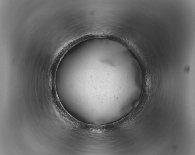 X0000115010684200911091421