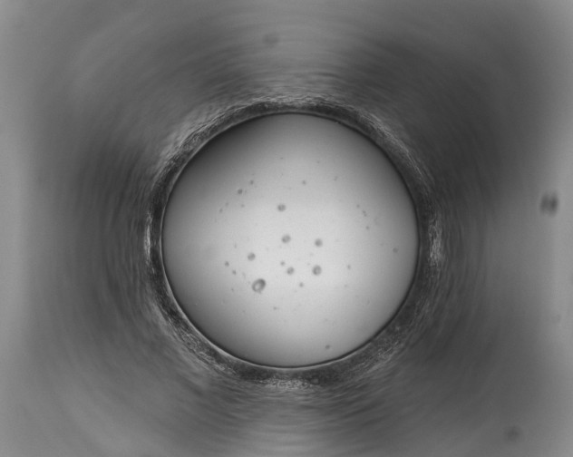 X0000115010685200911091421