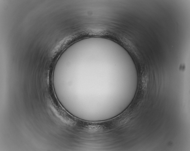 X0000115010686200911091421