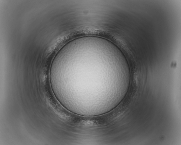 X0000115010687200911091421