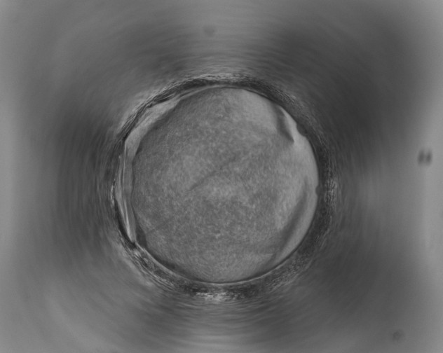 X0000115010688200911091421