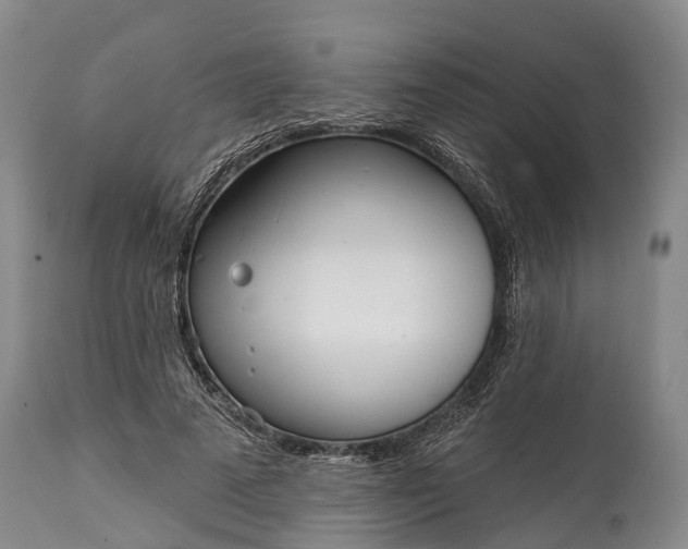 X0000115010689200911091421
