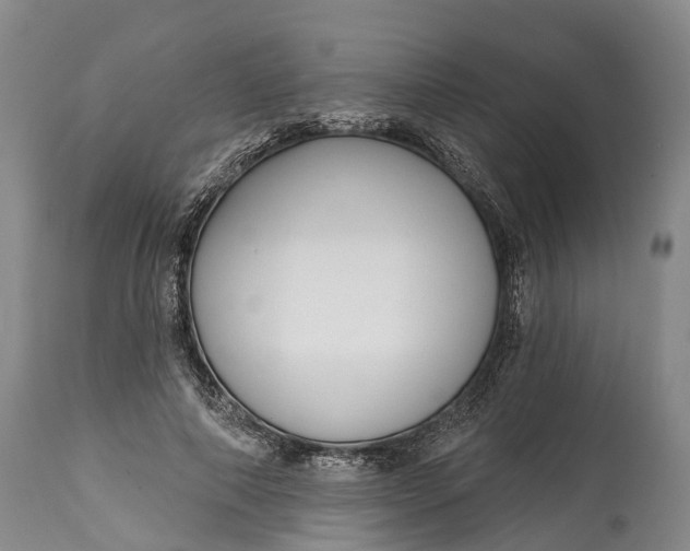 X0000115010690200911091421
