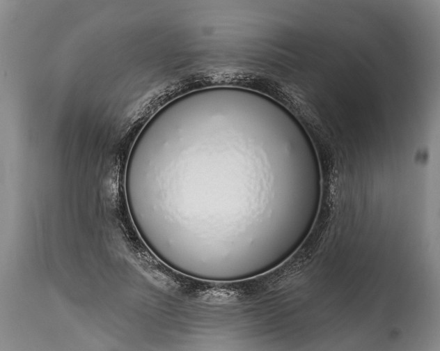X0000115010691200911091421