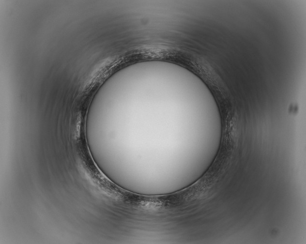 X0000115010694200911091421