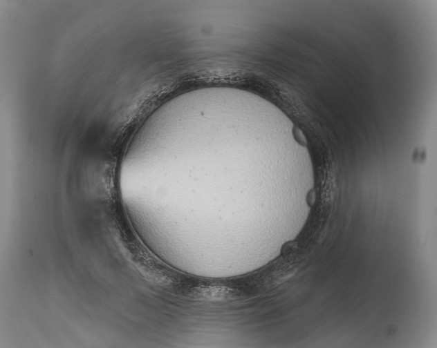 X0000115010695200911091421