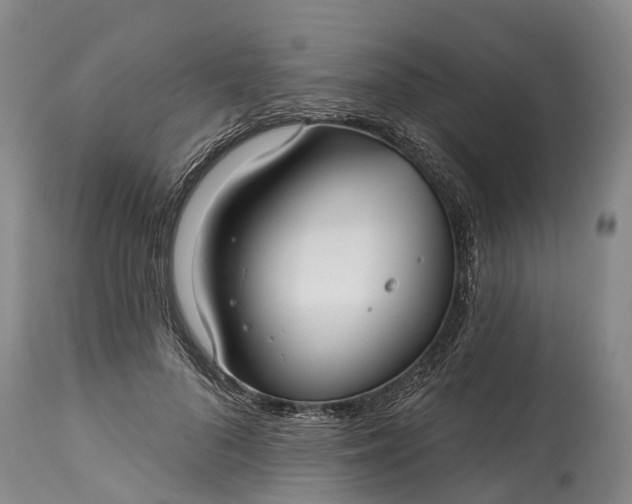 X0000115010696200911091421