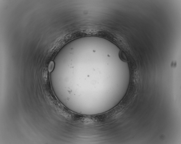 X0000115010697200911091421