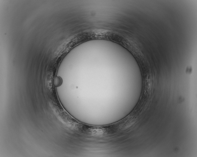 X0000115010698200911091421