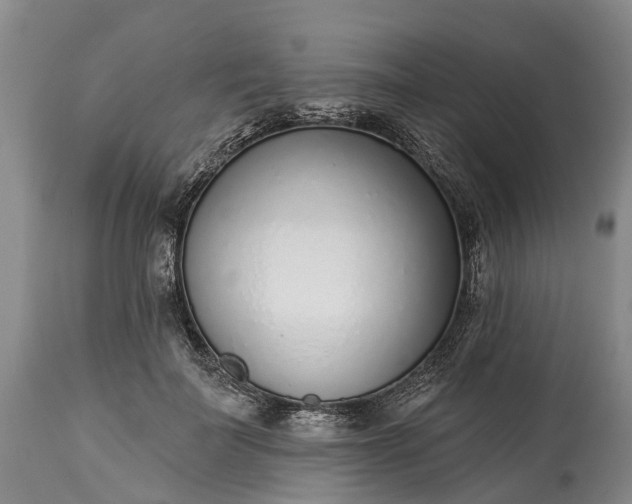 X0000115010699200911091421