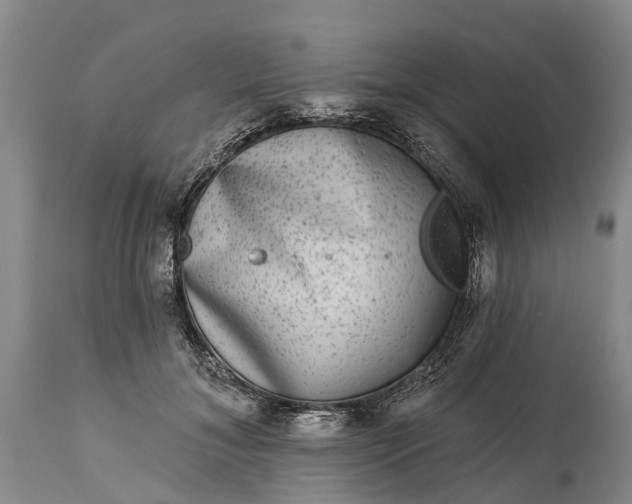X0000115010700200911091421