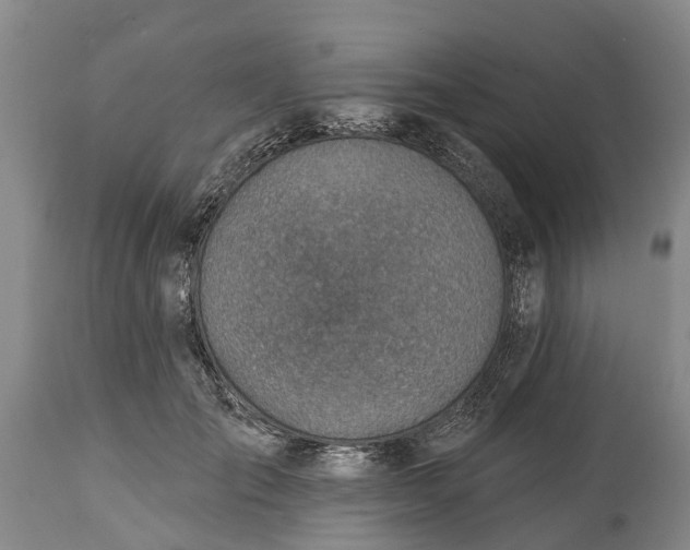 X0000115010701200911091421