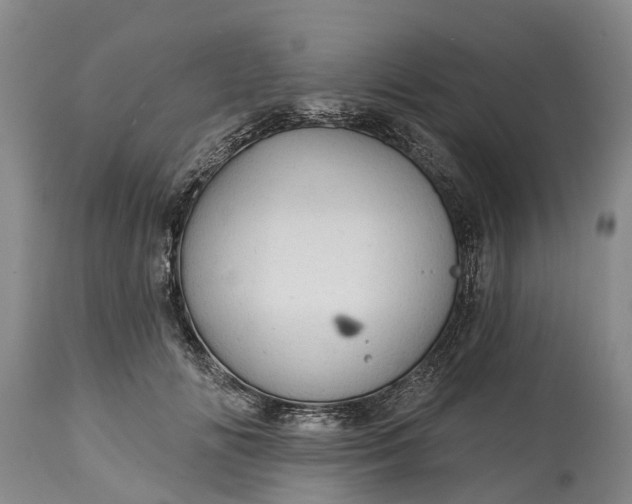 X0000115010702200911091421