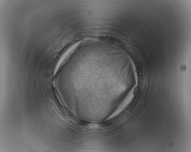X0000115010704200911091421