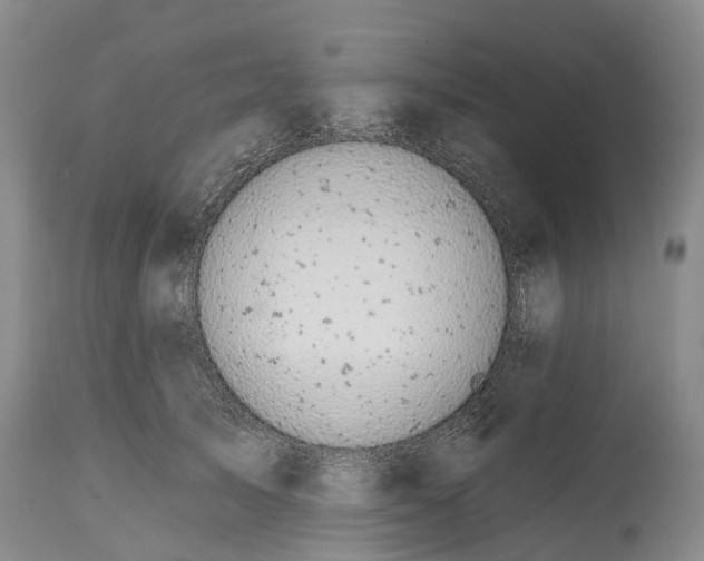 X0000115010705200911091421
