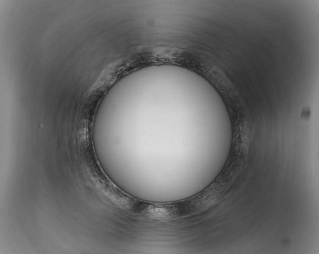 X0000115010706200911091421
