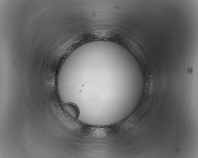 X0000115010710200911091421