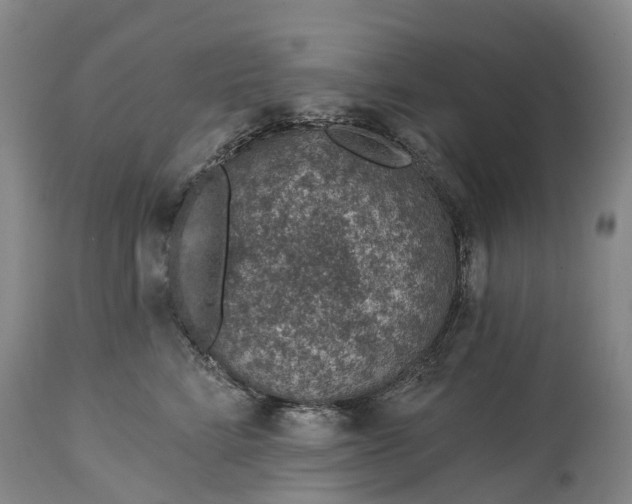 X0000115010712200911091420