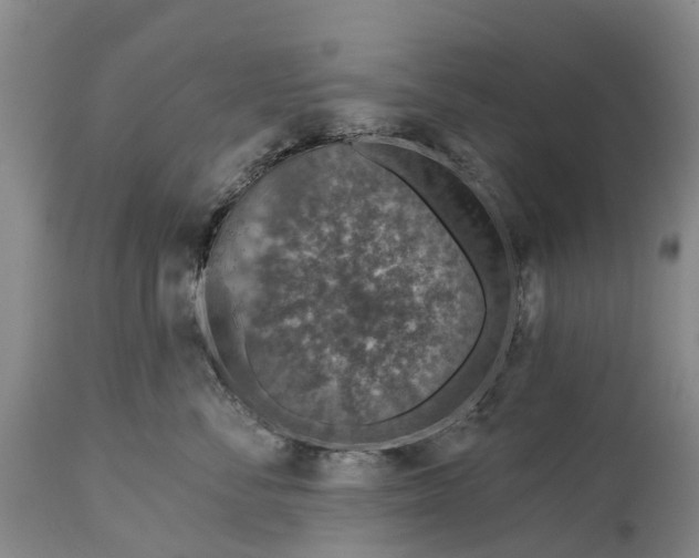 X0000115010716200911091420