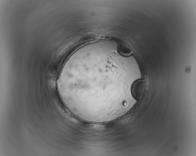 X0000115010719200911091420