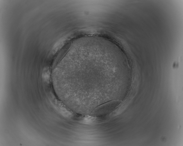 X0000115010720200911091420