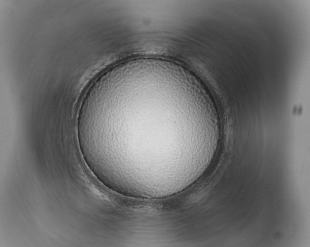 X0000115010721200911091420