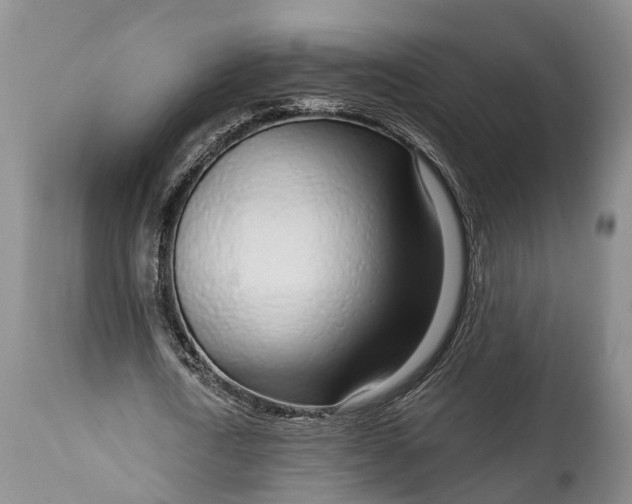 X0000115010722200911091420
