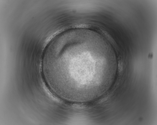 X0000115010725200911091420