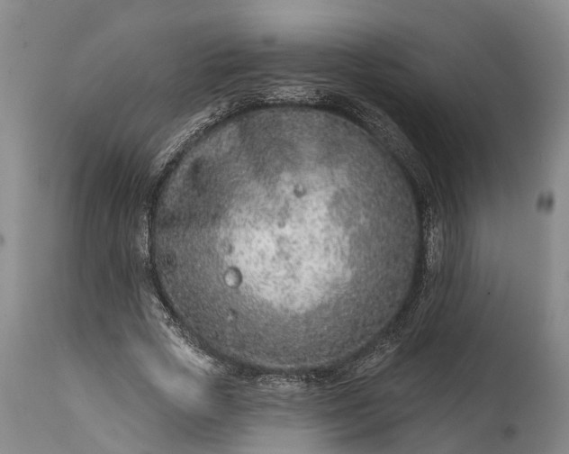 X0000115010729200911091420