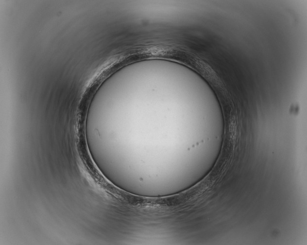 X0000115010730200911091420