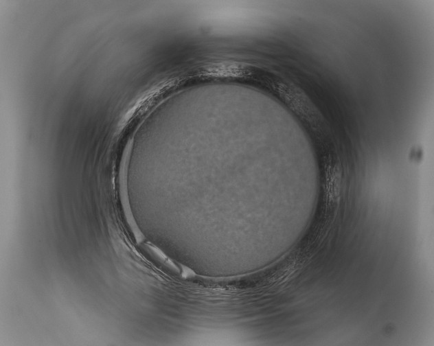 X0000115010731200911091420