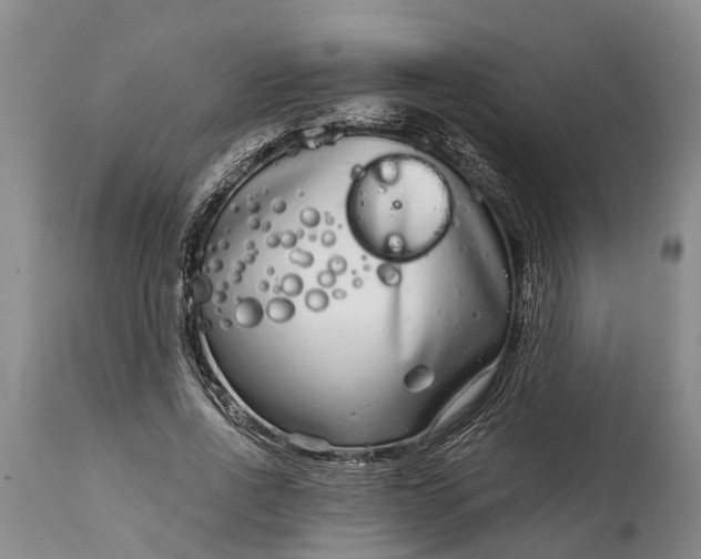 X0000115010734200911091420