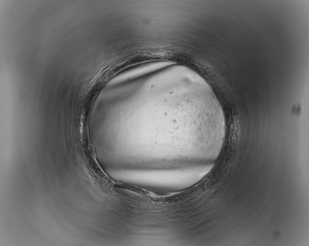 X0000115010739200911091420