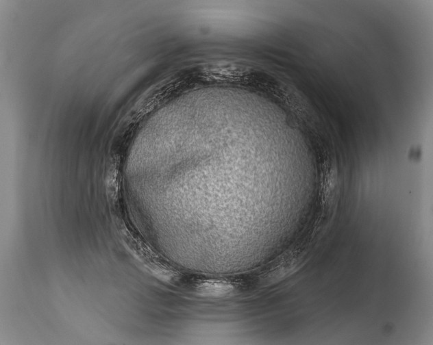 X0000115010749200911091420