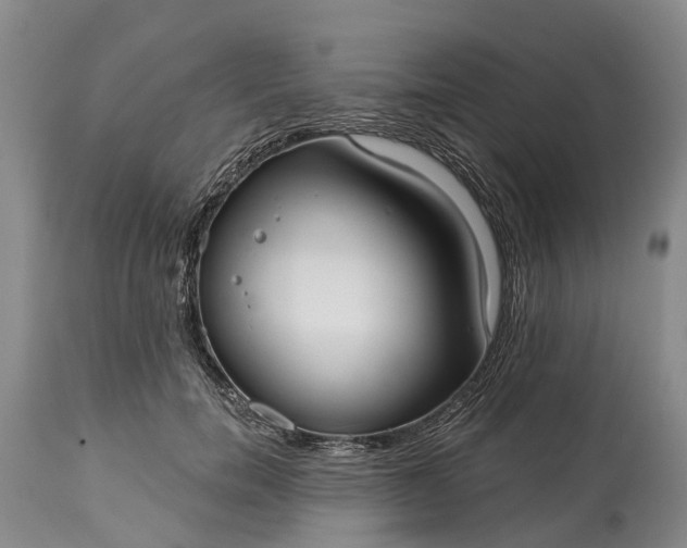 X0000115010750200911091420