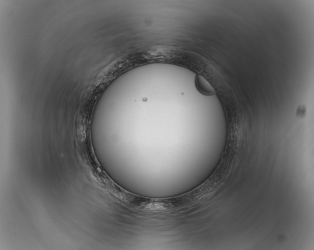 X0000115010751200911091420