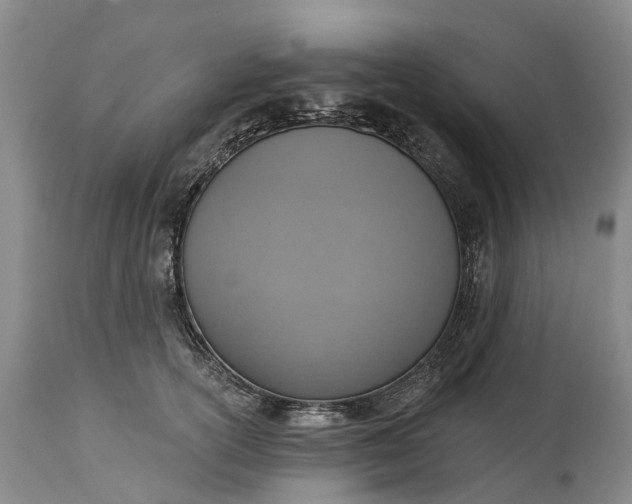 X0000115010754200911091420