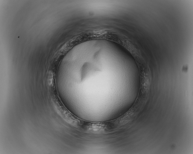 X0000115010758200911091420