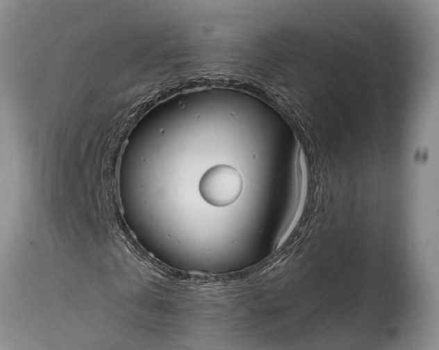 X0000115010769200911091420