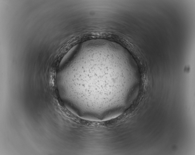 X0000115010770200911091420