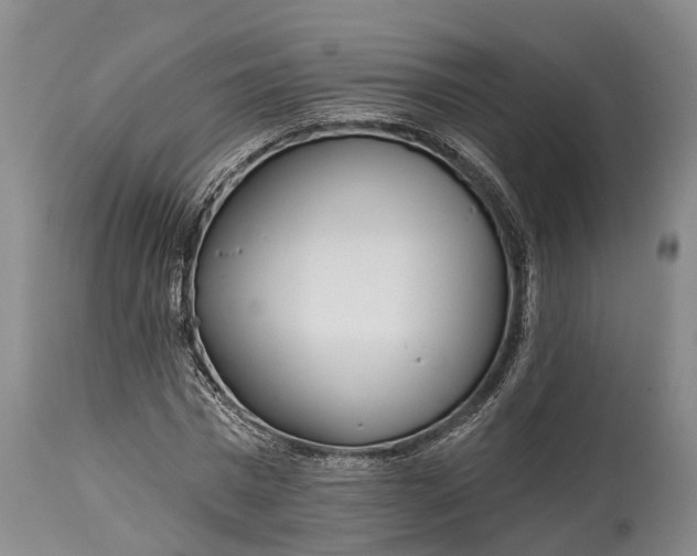 X0000115010777200911091420