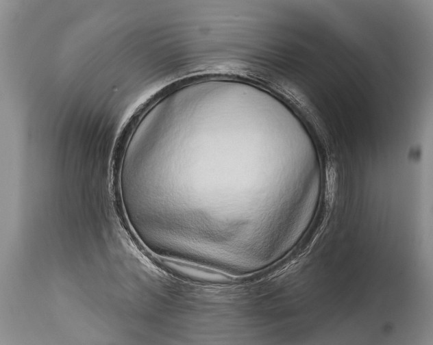 X0000115010780200911091420