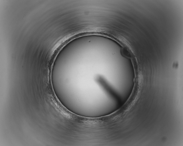 X0000115010781200911091420