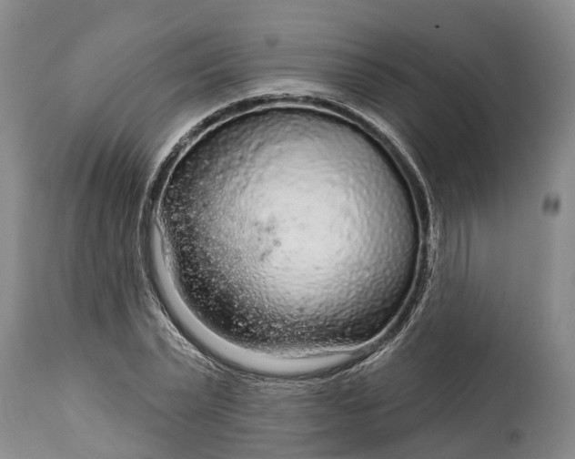 X0000115010783200911091420