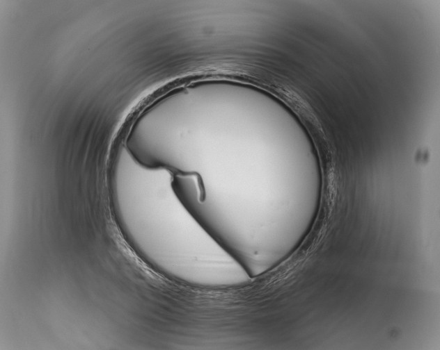 X0000115010784200911091419