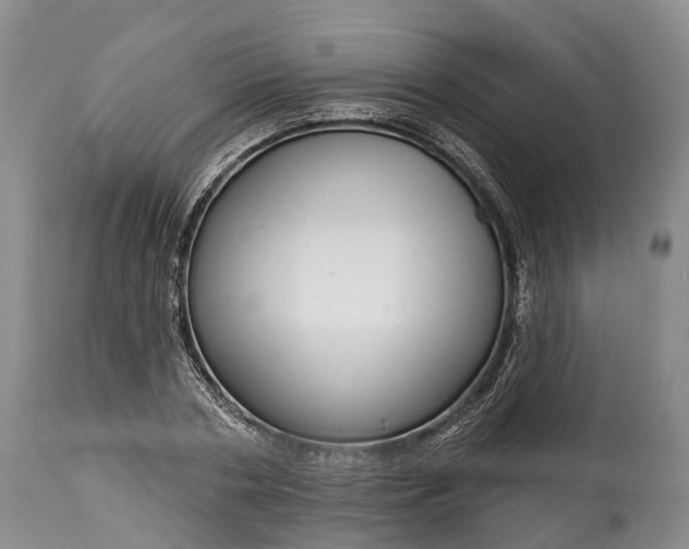 X0000115010786200911091419