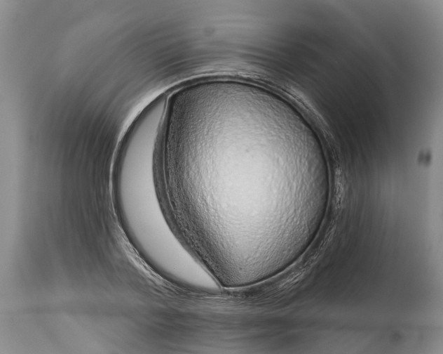 X0000115010788200911091419