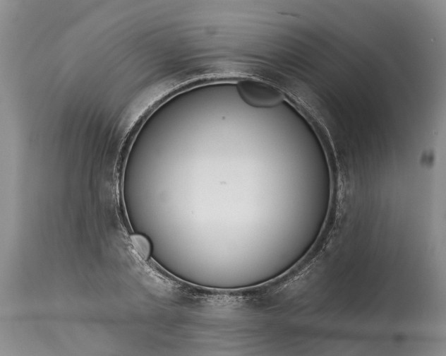 X0000115010789200911091419